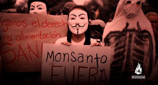 La naturaleza no es patentable, fallo contra Monsanto