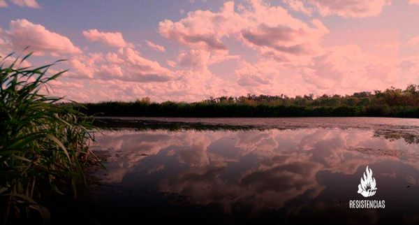 “Los gobiernos municipal y provincial están garantizando la destrucción de la Reserva Laguna de Rocha”